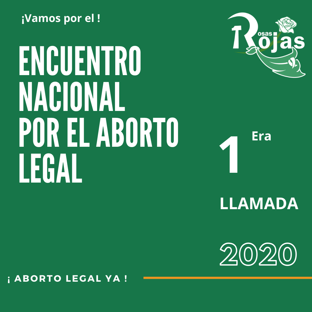 encuentro nacional aborto