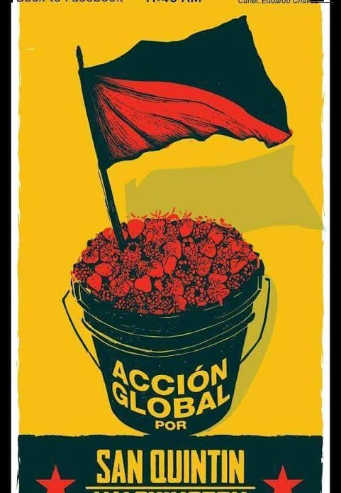 FRESAS DE SANGRE: LA LUCHA DE SAN QUINTÍN