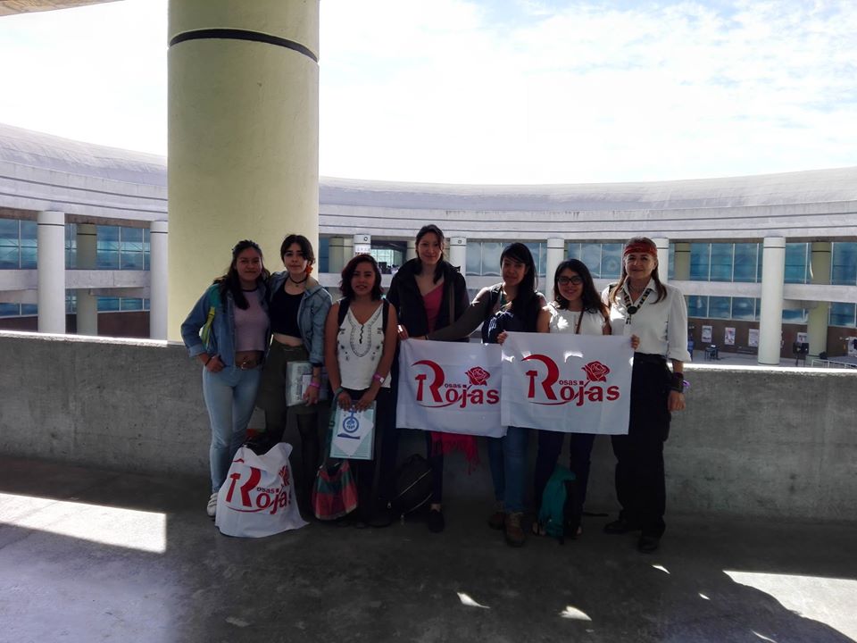 ASISTENCIA DE ROSAS ROJAS A LA PRIMERA REUNIÓN DEL FRENTE FEMINISTA NACIONAL