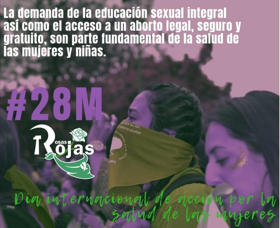 #28M| PRONUNCIAMIENTO POR EL DÍA INTERNACIONAL DE ACCIÓN POR LA SALUD DE LAS MUJERES