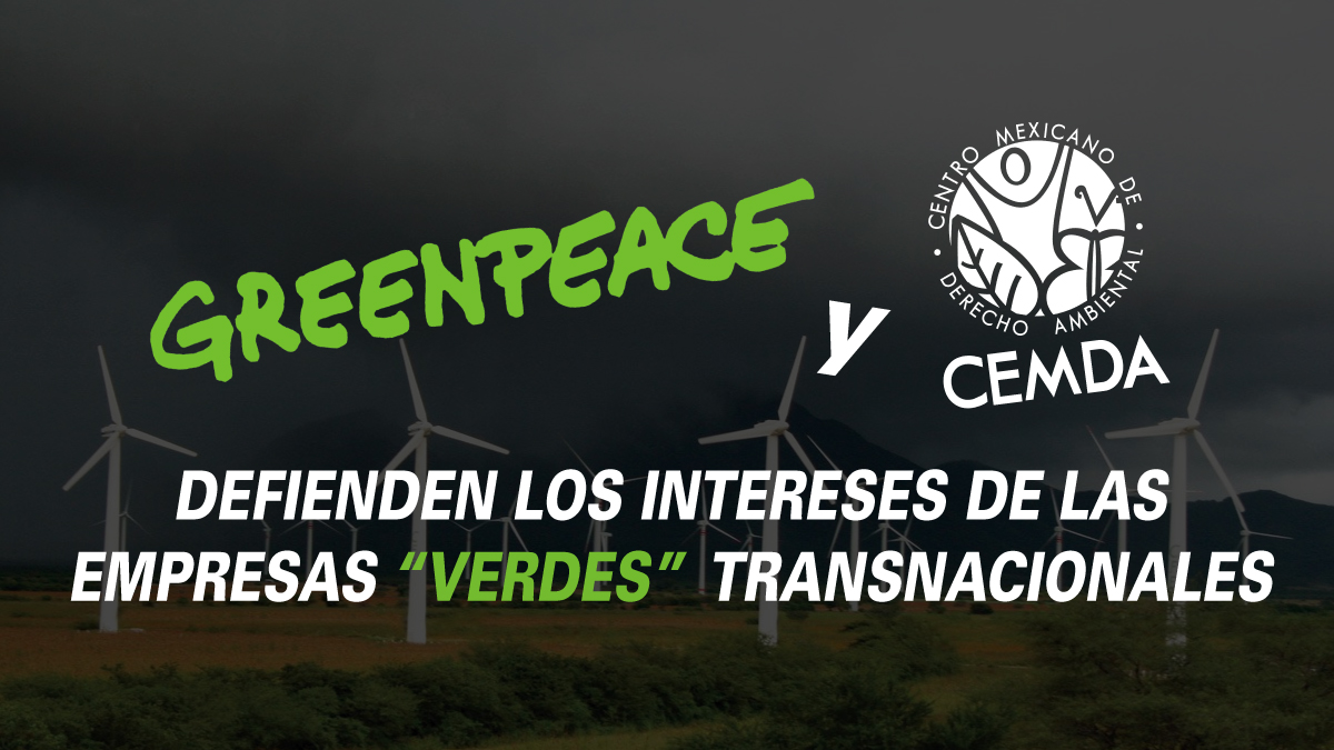 Greenpeace y Cemda defienden los intereses de las empresas “verdes” transnacionales