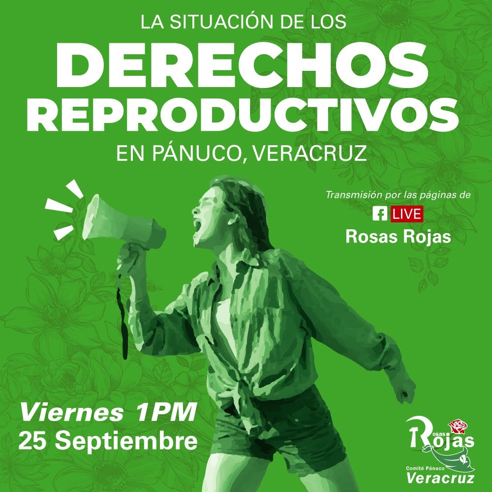 El 8A y Rumbo al 28S en Pánuco Veracruz nos movilizamos