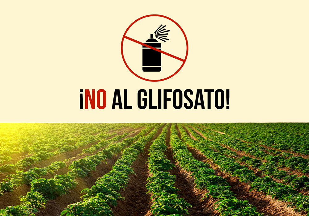 sobre el  Decreto para la sustitución del glifosato