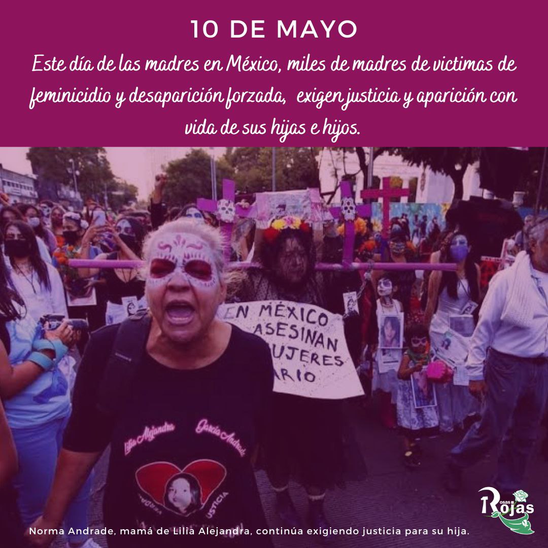 10 de mayo: Mujer no es sinónimo de madre, por una maternidad libre y voluntaria.