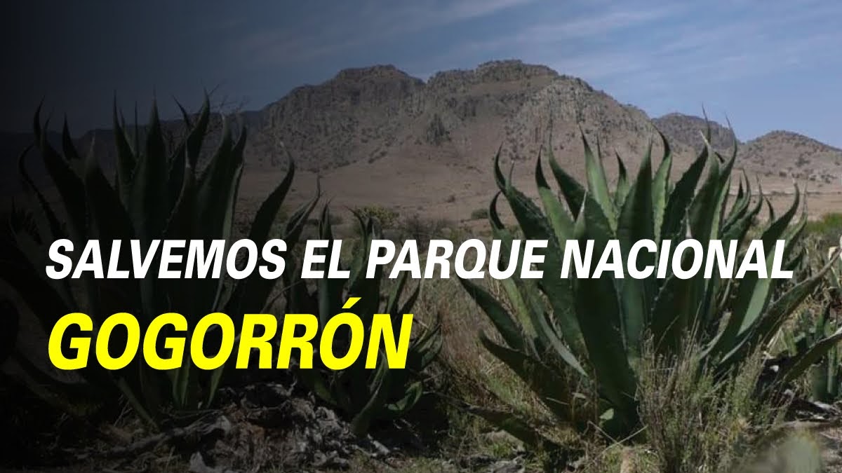 SALVEMOS EL PARQUE NACIONAL GOGORRÓN
