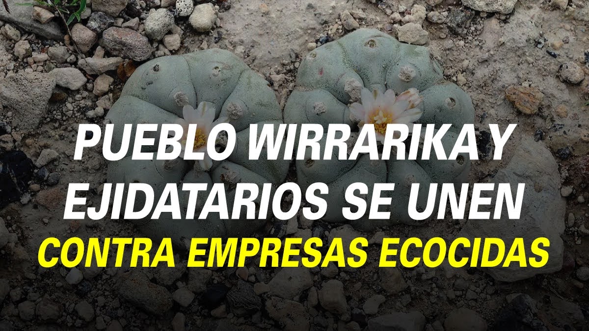 PUEBLO WIRRARIKA Y EJIDATARIOS  SE UNEN CONTRA EMPRESAS ECOCIDAS