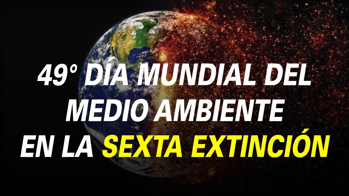 49° DÍA MUNDIAL DEL MEDIO AMBIENTE EN LA SEXTA EXTINCIÓN