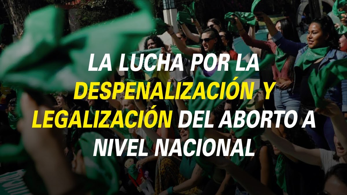 LA LUCHA POR LA DESPENALIZACIÓN Y LEGALIZACIÓN DEL ABORTO A NIVEL NACIONAL